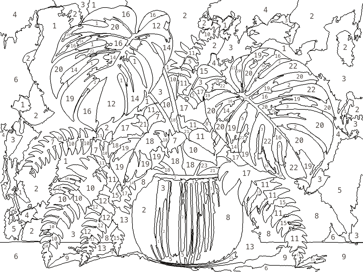 Botanical Gouache — the numbered outline produced from that painting